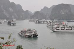 Crowded with boats.